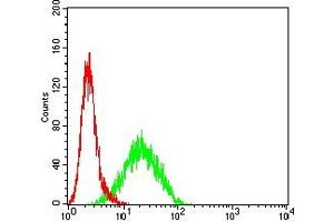 Flow cytometric analysis of Hela cells using CDKN1C mouse mAb (green) and negative control (red).
