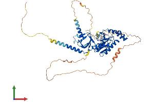 Protein Structure (PS) image for Calcium Channel, Voltage-Dependent, beta 3 Subunit (CACNB3) (AA 1-484) protein (His tag) (ABIN7552956)