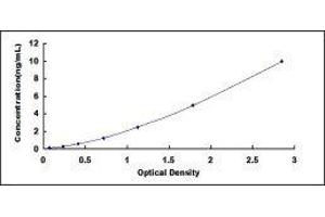 Monoamine Oxidase A (MAOA) ELISA Kit
