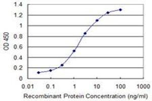 Detection limit for recombinant GST tagged PIM3 is 0. (PIM3 抗体  (AA 242-326))