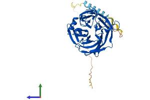 Protein Structure (PS) image for Calcium Activated Nucleotidase 1 (CANT1) (AA 1-401) protein (His tag) (ABIN7553027)