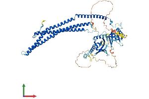 Protein Structure (PS) image for Adaptor Protein, phosphotyrosine Interaction, PH Domain and Leucine Zipper Containing 2 (APPL2) (AA 1-662) protein (His tag) (ABIN7559549)