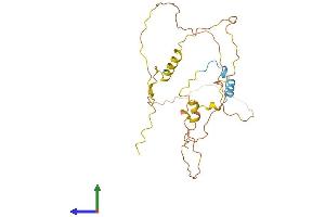 Protein Structure (PS) image for Cbp/p300-Interacting Transactivator, with Glu/Asp-Rich Carboxy-terminal Domain, 2 (CITED2) (AA 1-269) protein (His tag) (ABIN7562379)