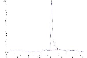 Size-exclusion chromatography-High Pressure Liquid Chromatography (SEC-HPLC) image for Bone Marrow Stromal Cell Antigen 2 (BST2) (AA 49-161) protein (His tag) (ABIN7273992)