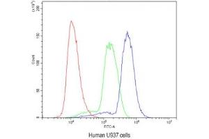 Flow Cytometry (FACS) image for anti-Homeobox A11 (HOXA11) (AA 74-245) antibody (ABIN3031247)