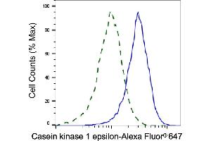 Validation of Casein kinase 1 epsilon knockdown using flow cytometry. (CK1 epsilon 抗体)