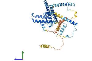 Protein Structure (PS) image for DnaJ (Hsp40) Homolog, Subfamily C, Member 28 (DNAJC28) (AA 1-388) protein (His tag) (ABIN7547135)