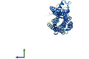 Protein Structure (PS) image for Trace Amine Associated Receptor 6 (TAAR6) (AA 1-345) protein (His tag) (ABIN7544135)
