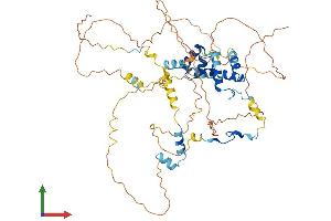 Protein Structure (PS) image for Mesoderm Induction Early Response 1, Family Member 3 (MIER3) (AA 1-551) protein (His tag) (ABIN7557192)