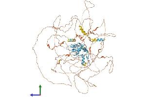 Protein Structure (PS) image for Zinc Finger Protein GLI1 (GLI1) (AA 1-1111) protein (His tag) (ABIN7563294)