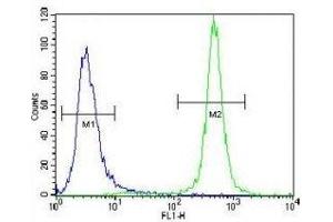 MST1 antibody flow cytometric analysis of NCI-H460 cells (green) compared to a negative control (blue). (MST1 抗体  (AA 454-483))