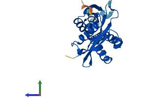Protein Structure (PS) image for N-Acetyltransferase 8 (NAT8) (AA 1-227) protein (His tag) (ABIN7561562)