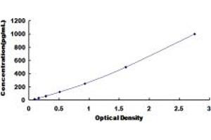 Typical standard curve (Cardiotrophin 1 ELISA 试剂盒)