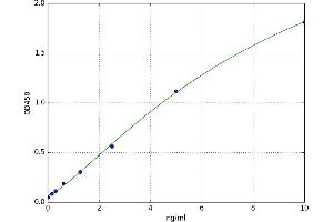 Dickkopf 2 Homolog (DKK2) ELISA Kit