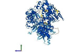 Protein Structure (PS) image for Rap Guanine Nucleotide Exchange Factor (GEF) 4 (RAPGEF4) (AA 1-1011) protein (His tag) (ABIN7565041)