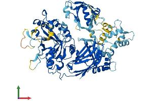 Protein Structure (PS) image for phospholipase C, delta 1 (PLCD1) (AA 1-756) protein (His tag) (ABIN7559728)