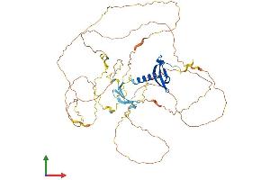 Protein Structure (PS) image for Chromobox Homolog 4 (CBX4) (AA 1-551) protein (His tag) (ABIN7562493)
