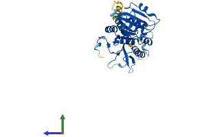 Protein Structure (PS) image for Exostoses (Multiple)-Like 2 (EXTL2) (AA 1-330) protein (His tag) (ABIN7547572)