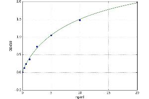 A typical standard curve (Calpain 6 ELISA 试剂盒)