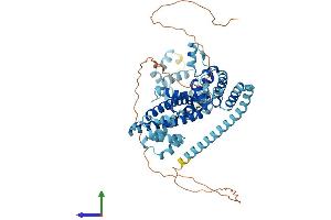 Protein Structure (PS) image for NOP56 Ribonucleoprotein Homolog (NOP56) (AA 1-594) protein (His tag) (ABIN7549867)