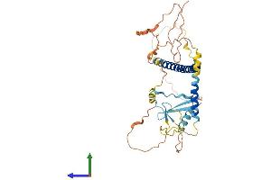 AlphaFold protein structure predicition of Human Recombinant MCIDAS Protein, UniprotID D6RGH6 (Multicilin Protein (AA 1-385) (His tag))