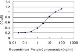 Detection limit for recombinant GST tagged ALG8 is approximately 0. (ALG8 抗体  (AA 260-334))