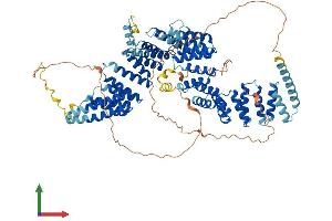 AlphaFold protein structure predicition of Mouse Recombinant Ift88 Protein, UniprotID Q61371