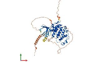 Protein Structure (PS) image for Cyclin-Dependent Kinase 14 (CDK14) (AA 1-469) protein (His tag) (ABIN7553225)