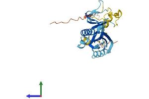 AlphaFold protein structure predicition of Mouse Recombinant Tprg1l Protein, UniprotID Q9DBS2
