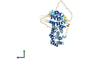 AlphaFold protein structure predicition of Mouse Recombinant Bysl Protein, UniprotID O54825