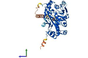 Protein Structure (PS) image for UDP-N-Acetyl-alpha-D-Galactosamine:polypeptide N-Acetylgalactosaminyltransferase-Like 5 (GALNTL5) (AA 1-431) protein (His tag) (ABIN7560994)
