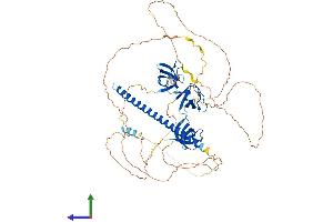 Protein Structure (PS) image for CD2-Associated Protein (Cd2ap) (AA 1-637) protein (His tag) (ABIN7565118)