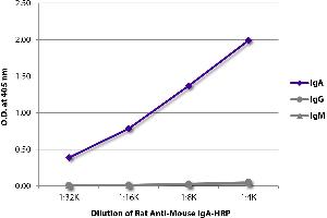 ELISA plate was coated with purified mouse IgM, IgG, and IgA. (大鼠 anti-小鼠 IgA (Heavy Chain) Antibody (HRP))