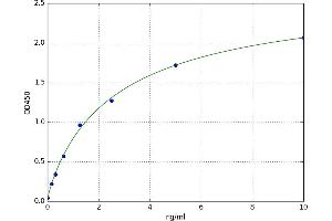 A typical standard curve (FOXC2 ELISA 试剂盒)