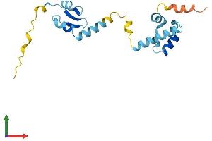 Protein Structure (PS) image for CGG Triplet Repeat Binding Protein 1 (CGGBP1) (AA 1-167) protein (His tag) (ABIN7558636)