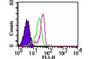Image no. 3 for anti-Toll-Like Receptor 7 (TLR7) (AA 706-728) antibody (FITC) (ABIN956807) (TLR7 抗体  (AA 706-728) (FITC))