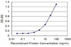 Detection limit for recombinant GST tagged ID1 is approximately 1ng/ml as a capture antibody. (ID1 抗体  (AA 47-155))