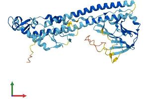 Protein Structure (PS) image for Tripartite Motif Containing 43B (TRIM43B) (AA 1-445) protein (His tag) (ABIN7556770)