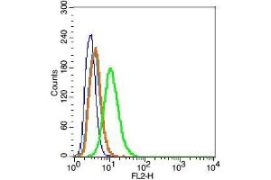 RSC96 cells probed with Caveolin-1 Polyclonal Antibody, Unconjugated  at 1:100 for 30 minutes followed by incubation with a conjugated secondary (PE Conjugated) (green) for 30 minutes compared to control cells (blue), secondary only (light blue) and isotype control (orange). (Caveolin-1 抗体  (AA 2-120))