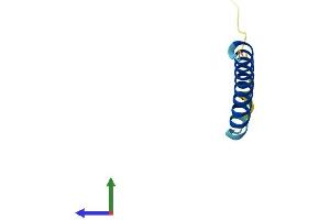 Protein Structure (PS) image for Phorbol-12-Myristate-13-Acetate-Induced Protein 1 (PMAIP1) (AA 1-54) protein (Fc Tag) (ABIN7552197)