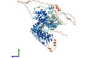 Protein Structure (PS) image for Receptor-Interacting Serine-threonine Kinase 4 (RIPK4) (AA 1-786) protein (His tag) (ABIN7561439)