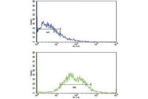 Flow Cytometry (FACS) image for anti-Activin A Receptor Type II-Like 1 (ACVRL1) (AA 38-68) antibody (ABIN3029853)