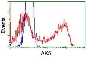 HEK293T cells transfected with either RC222241 overexpress plasmid (Red) or empty vector control plasmid (Blue) were immunostained by anti-AK5 antibody (ABIN2452726), and then analyzed by flow cytometry. (Adenylate Kinase 5 抗体)