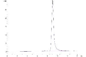 Size-exclusion chromatography-High Pressure Liquid Chromatography (SEC-HPLC) image for Complement Component 3 (C3) (AA 25-1663) protein (His tag) (ABIN7274037)