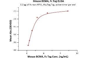 ELISA image for Tumor Necrosis Factor Receptor Superfamily, Member 17 (TNFRSF17) (AA 1-49) (Active) protein (Fc Tag) (ABIN6253667)