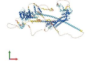 AlphaFold protein structure predicition of Mouse Recombinant Diaph1 Protein, UniprotID O08808