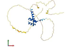 Protein Structure (PS) image for Distal-Less Homeobox 4 (DLX4) (AA 1-240) protein (His tag) (ABIN7547104)
