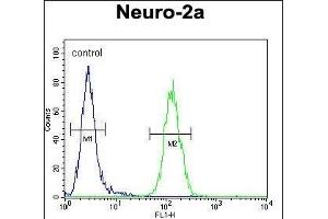 LCN10 Antibody (Center) (ABIN654544 and ABIN2844258) flow cytometric analysis of Neuro-2a cells (right histogram) compared to a negative control cell (left histogram).