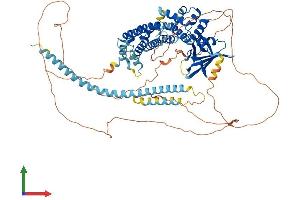 AlphaFold protein structure predicition of Human Recombinant SYCP2L Protein, UniprotID Q5T4T6
