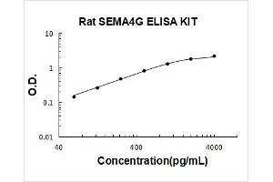 Semaphorin 4G (SEMA4G) ELISA Kit